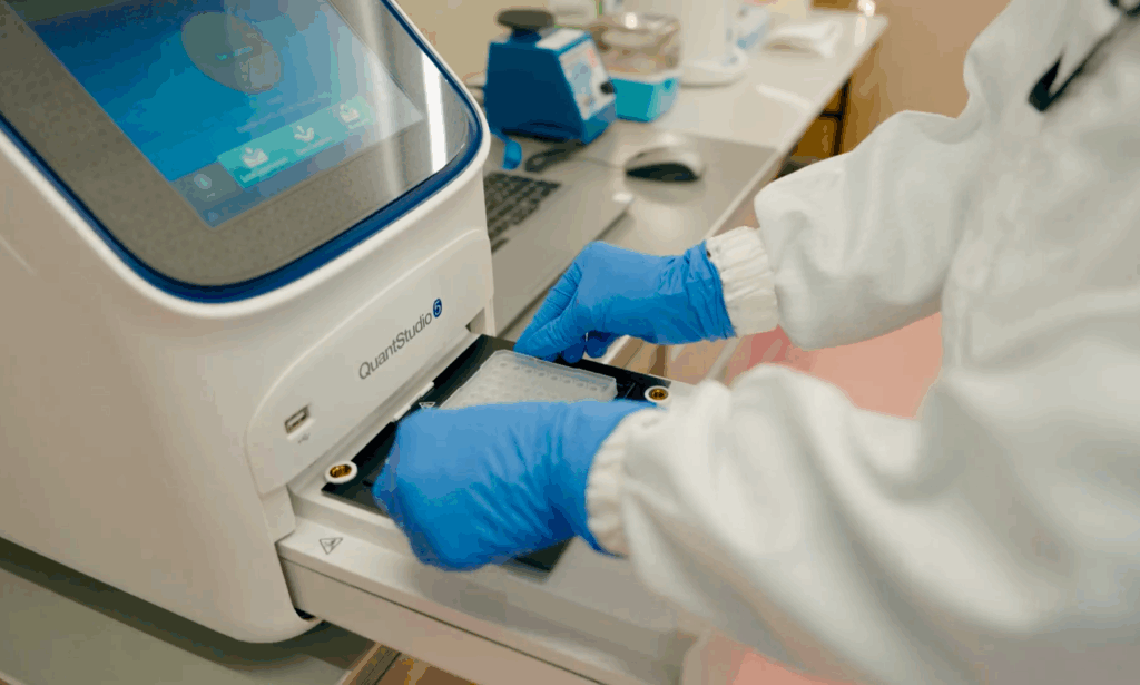 4.リアルタイムPCRによる遺伝子品質検査